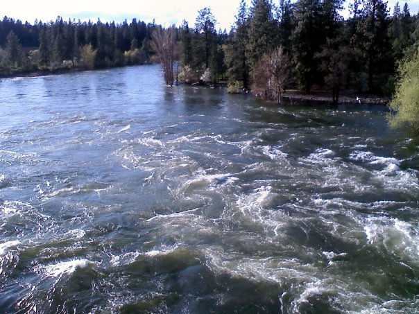 Riverside State Park景点图片
