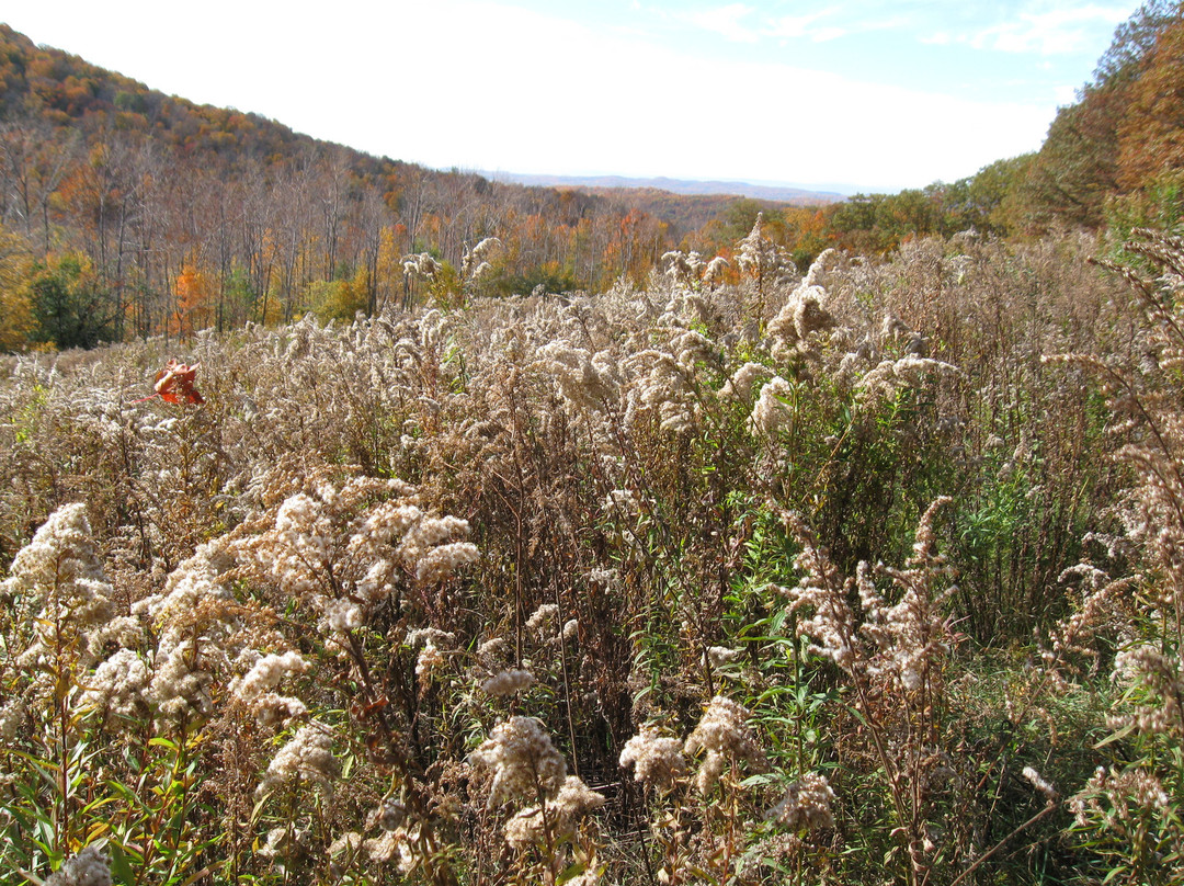 Merck Forest & Farmland Center-Rupert必去景点