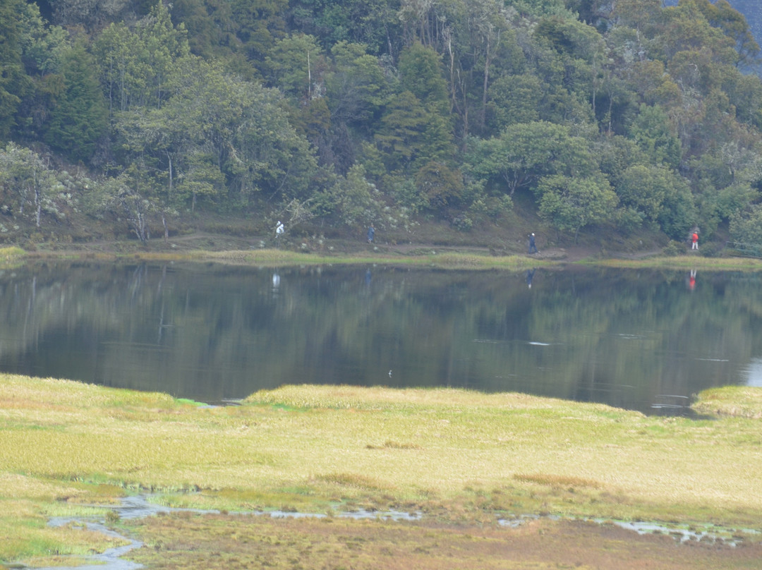 Parque Nacional Sierra Nevada-梅里达市必去景点