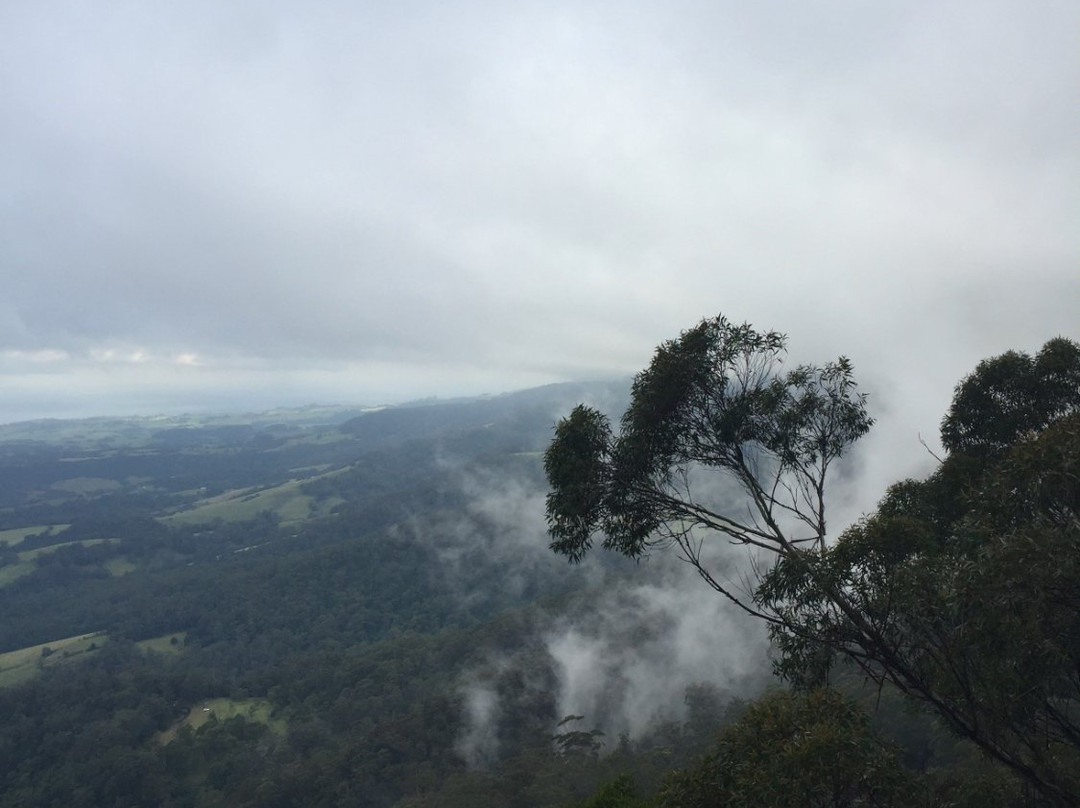 Jamberoo Mountain Road景点图片