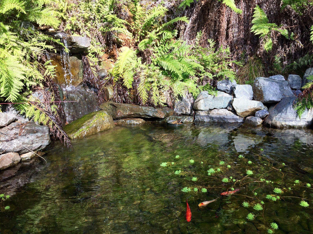 Georgetown酒店住宿-The Green Toad Inn