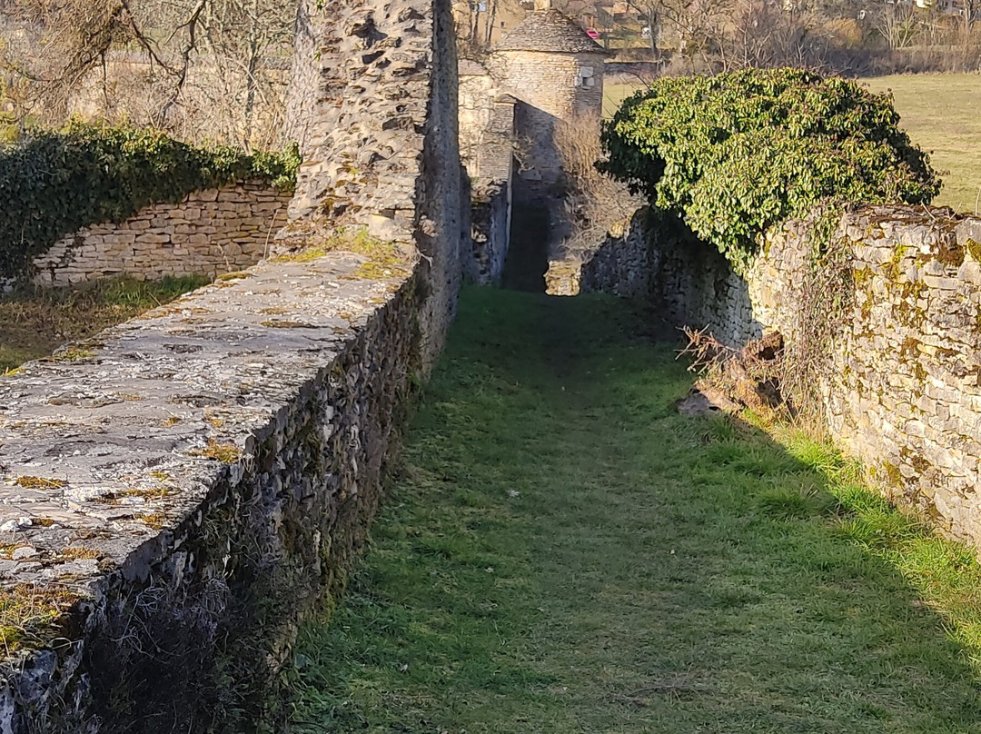Les remparts de Salives