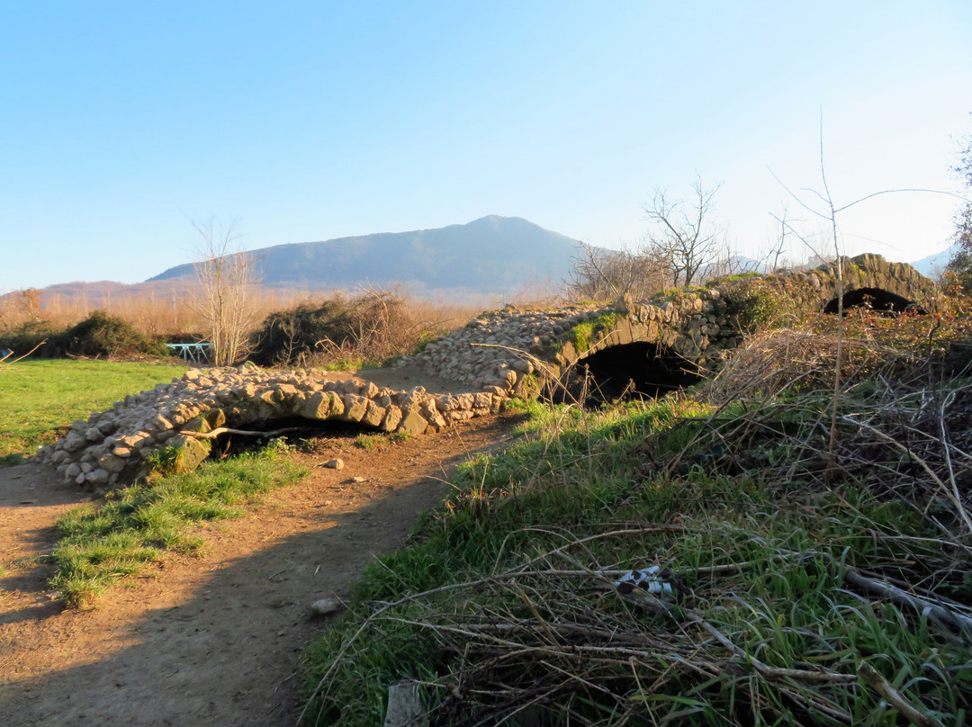 Ponte delle Frattelle景点图片