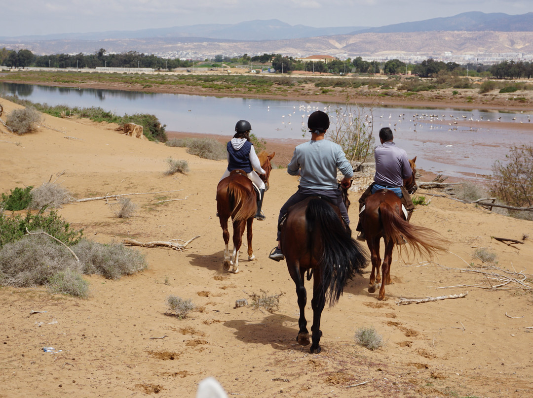 Club Equestre Lamzar-阿加迪尔必去景点