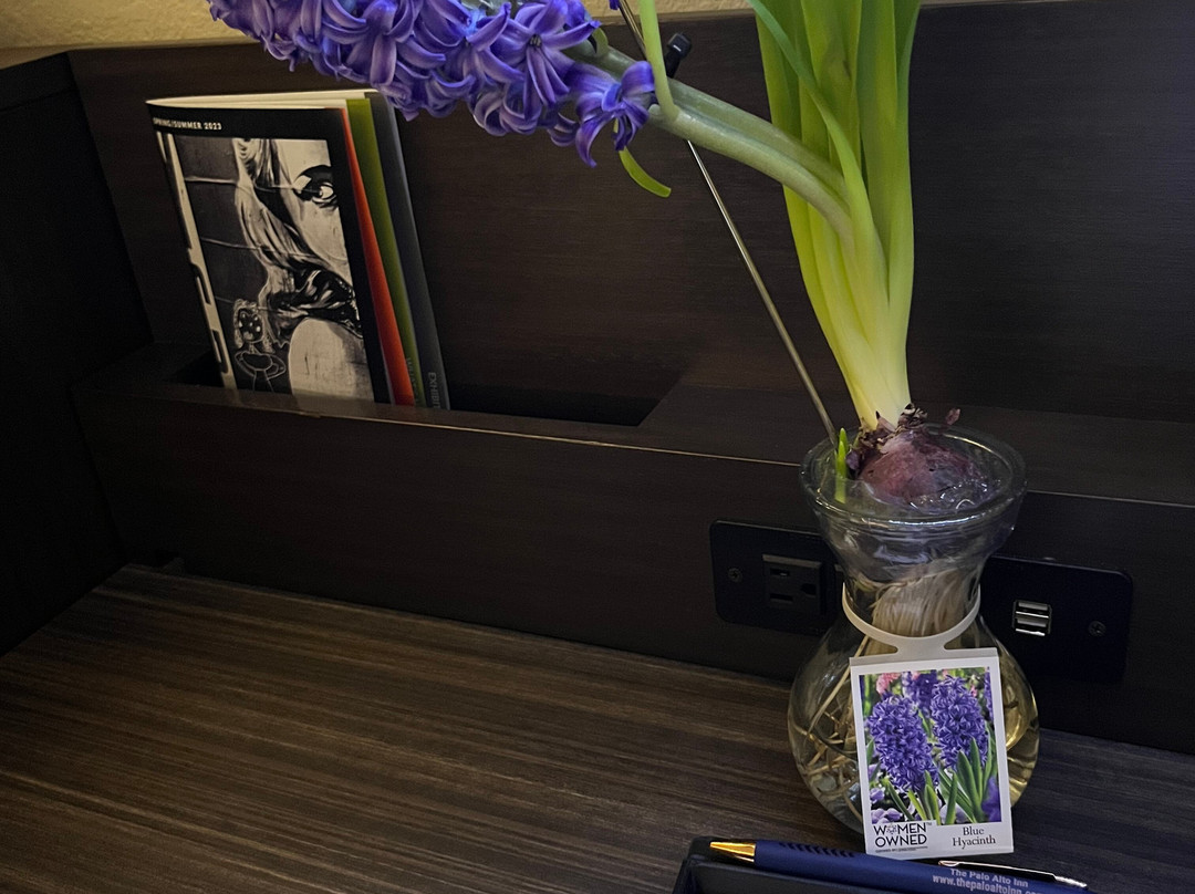 The Palo Alto Inn主图