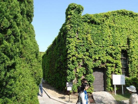 Kurashiki Ivy Square景点图片