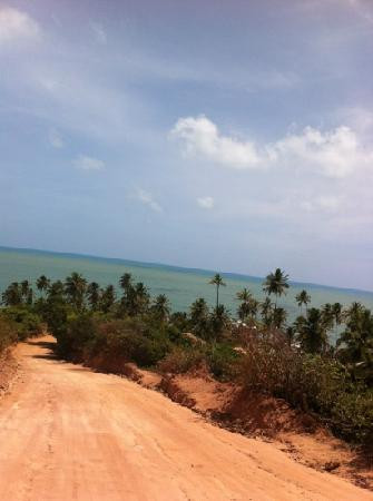 Praia do Coqueirinho-Conde必去景点