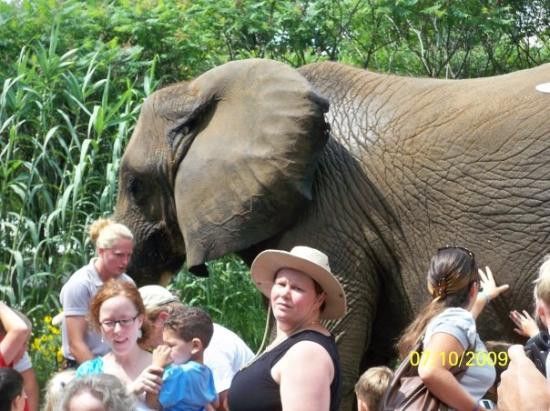 Indianapolis Zoo-印第安纳波利斯必去景点