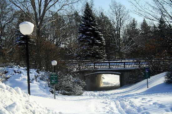 Hog's Back Falls-渥太华必去景点