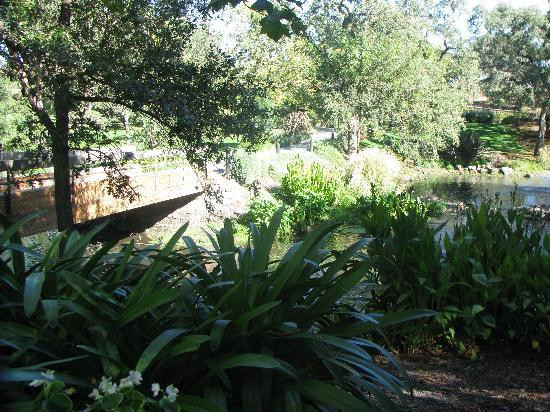 红酒王国之旅-旧金山必去景点