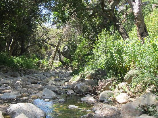 圣巴巴拉热带花园-圣巴巴拉必去景点