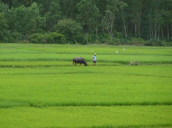 会安摩托车冒险-会安必去景点