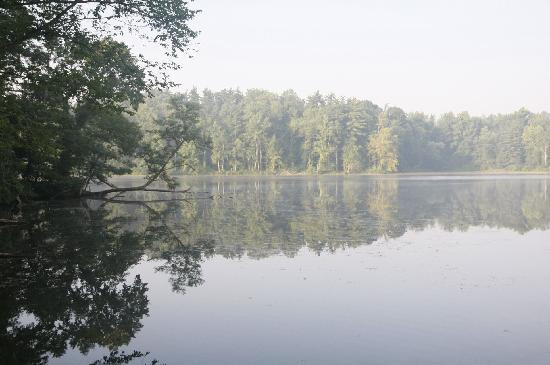 Lincoln State Park景点图片