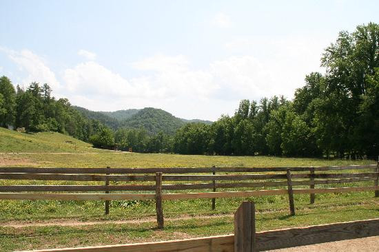 Cades Cove Riding Stables-汤森必去景点