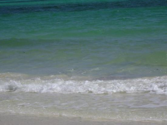 Barbary Beach-弗里波特必去景点