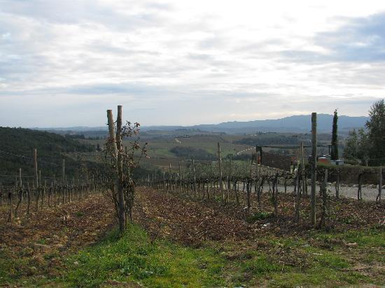 Tenuta Casanova景点图片