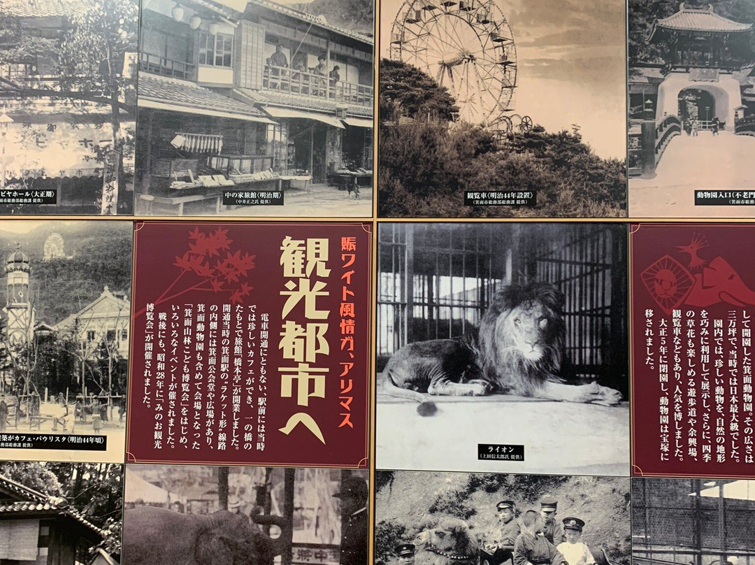 Mino City History Museum景点图片