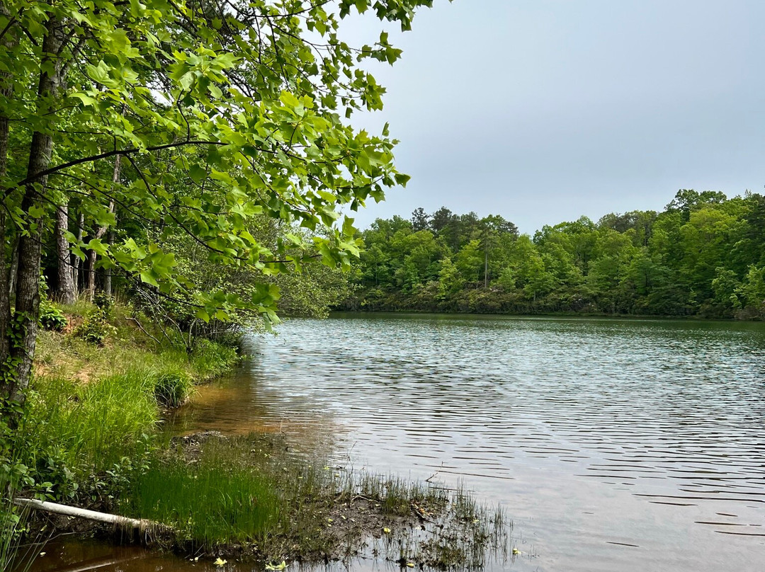 Country Hideaway主图