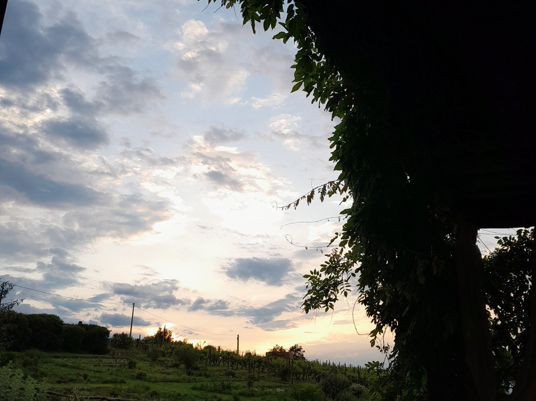 Country House Erba Regina主图