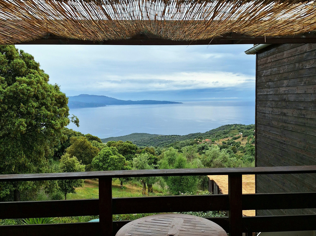 La Pampa Chambres d'hotes Cargese主图