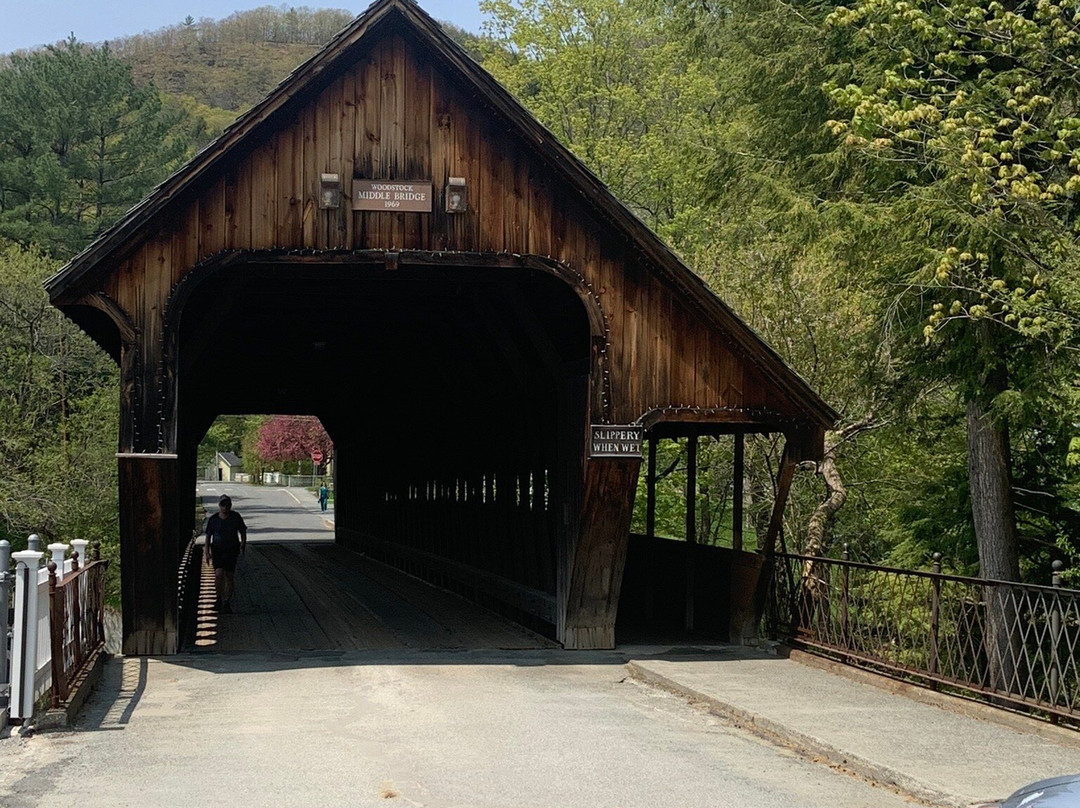 Honeymoon Bridge-杰克逊必去景点