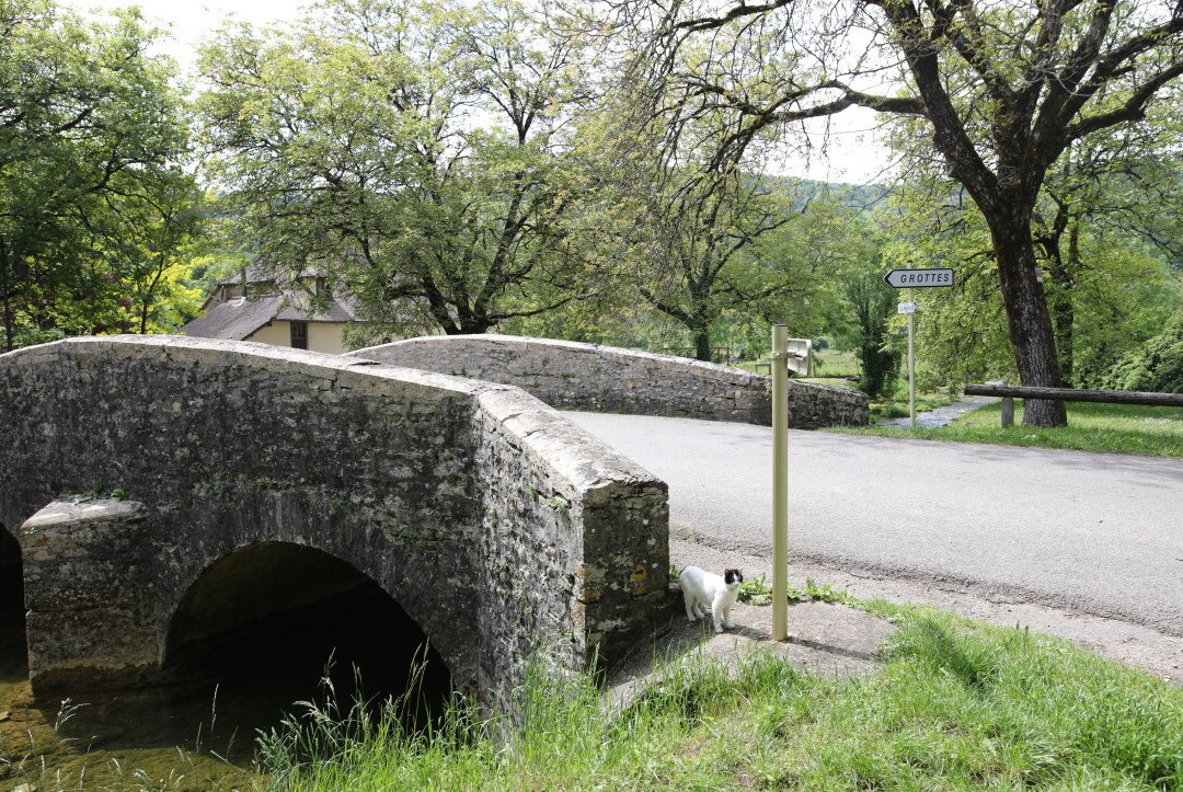 Vieux pont sur la Seille景点图片