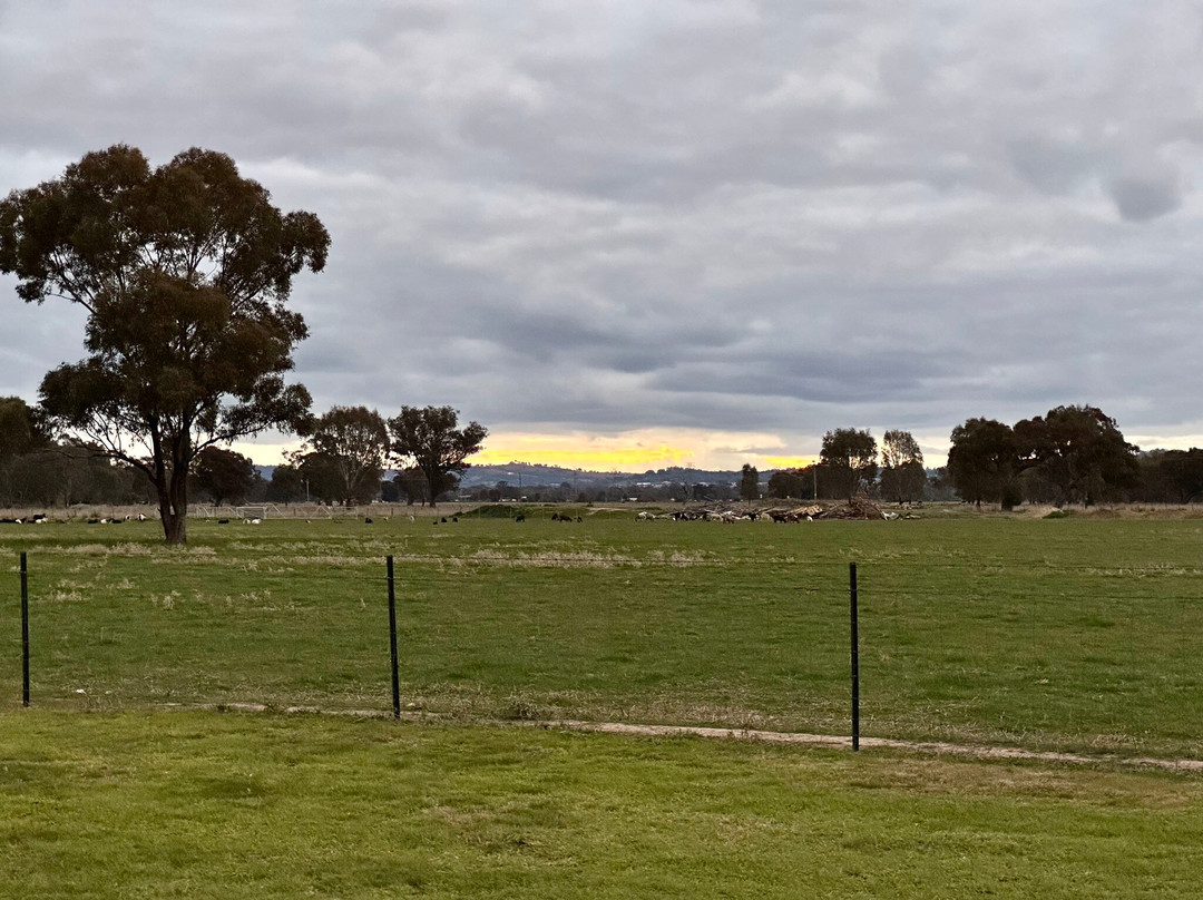 Australian Homestead主图