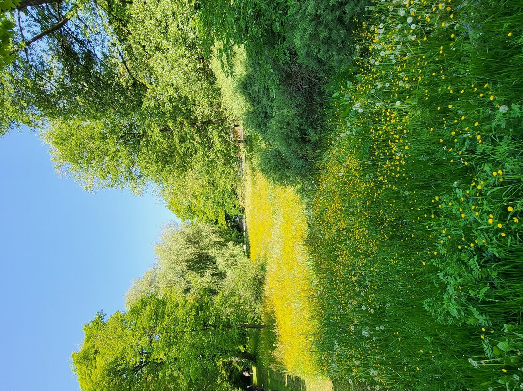 Tierpark Freiberg-弗赖贝格必去景点