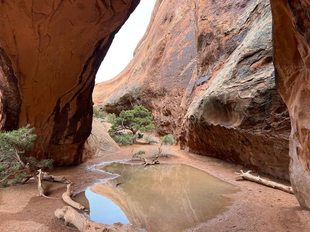 Navajo Arch-拱门国家公园必去景点