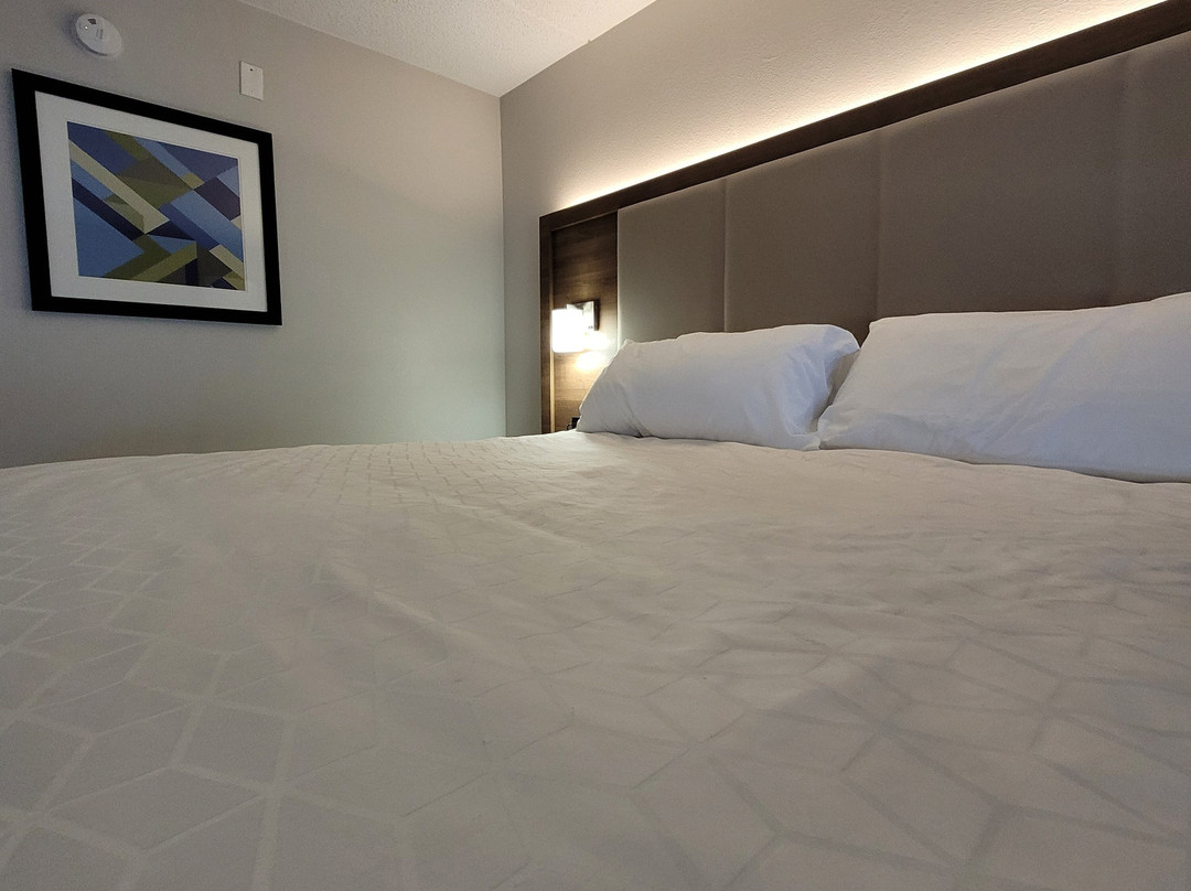 Holiday Inn Express Naperville By IHG主图