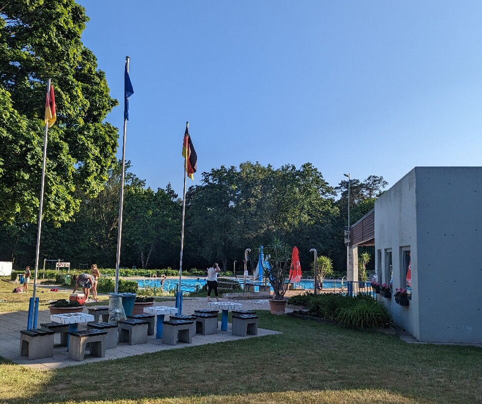 Waldfreibad Rodenbach景点图片