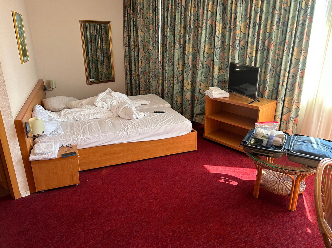 Axxon Hotel Brandenburg主图