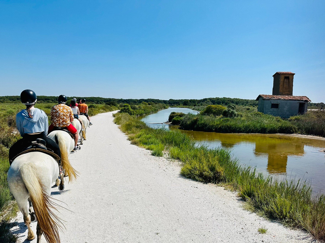 Promenade A Cheval Des Aresquiers-Vic-la-Gardiole必去景点