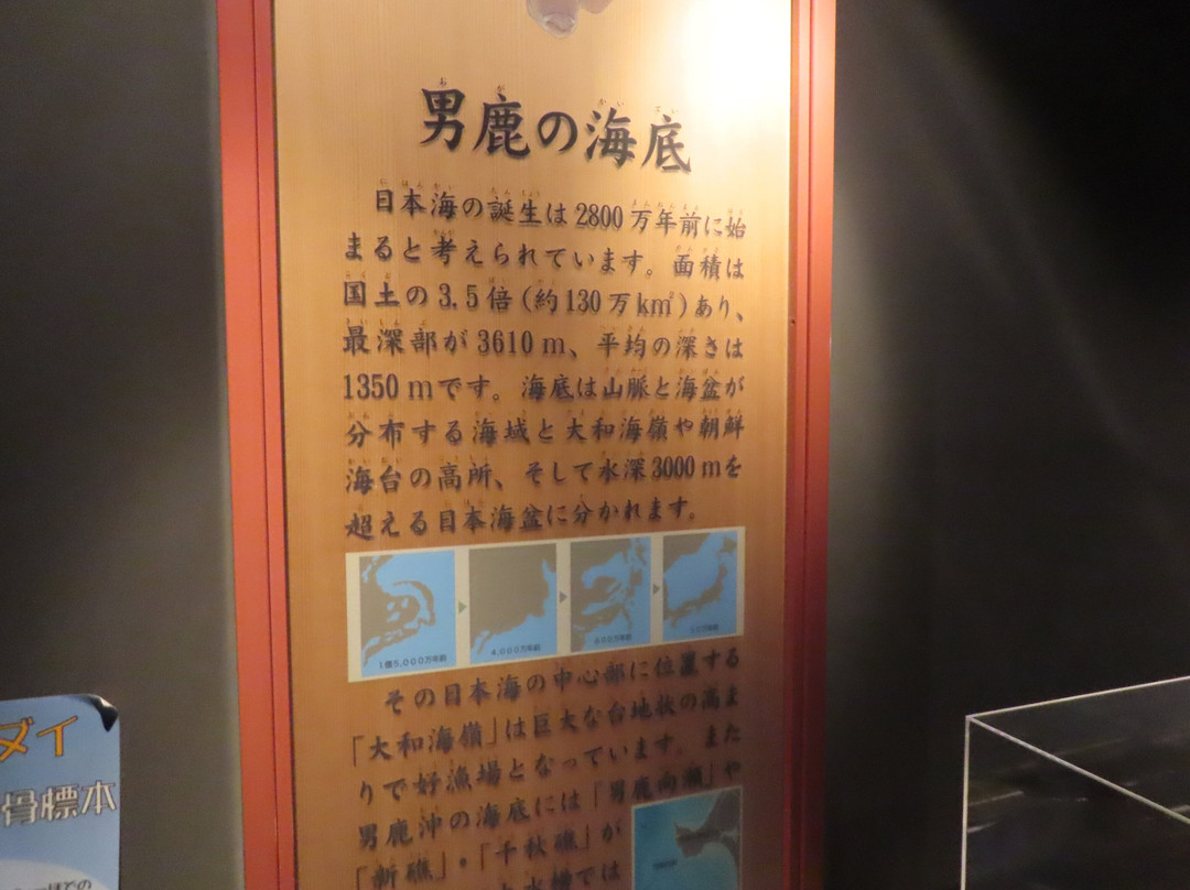 Oga Aquarium Gao-男鹿市必去景点