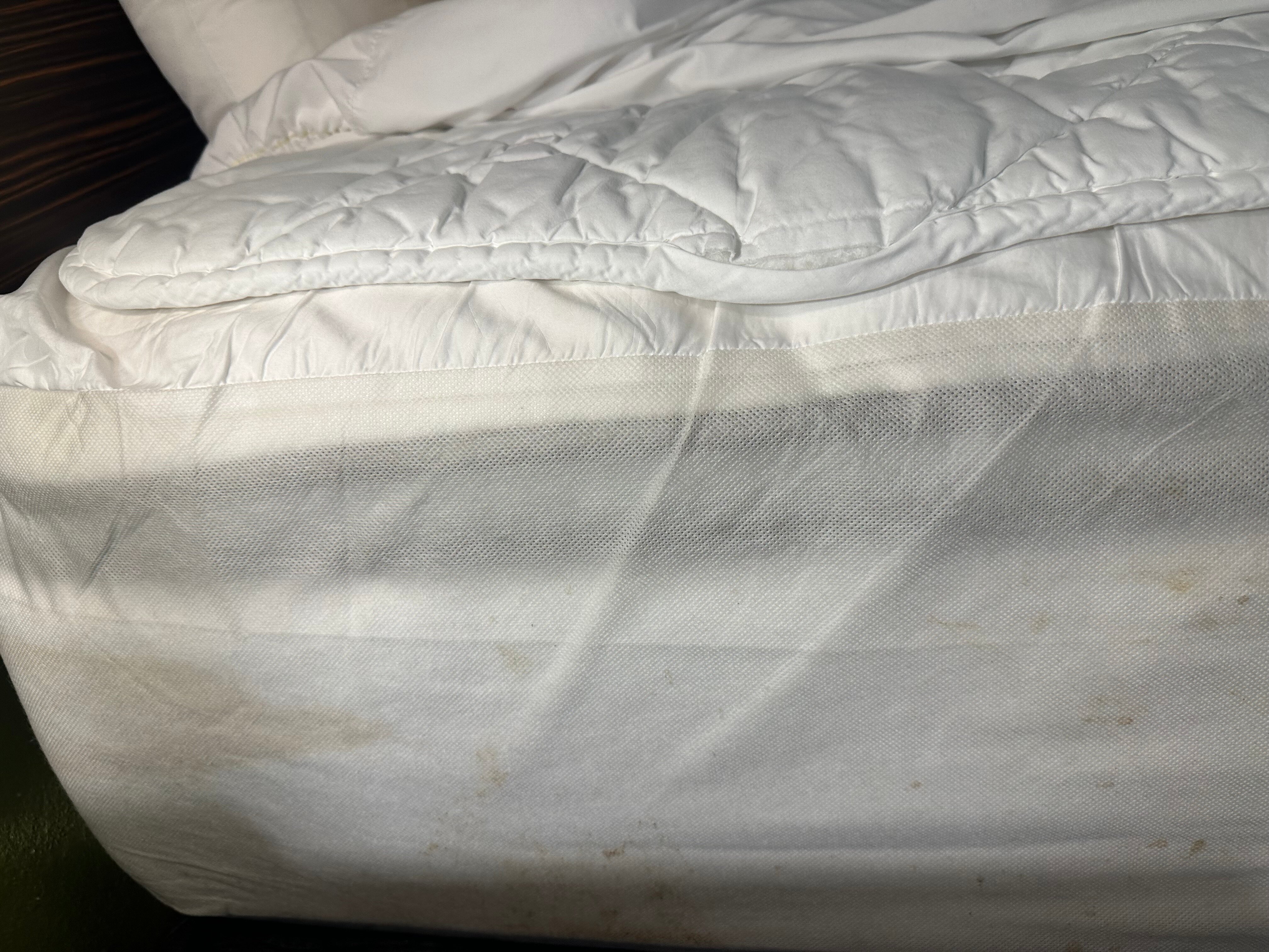 Sleep Inn Charleston - West Ashley-客卧