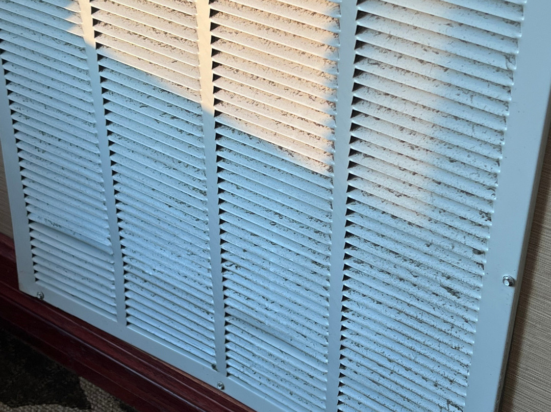 Comfort Suites Airport South主图