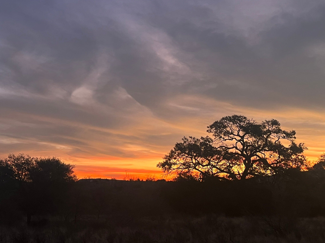 Duwisib Guestfarm主图