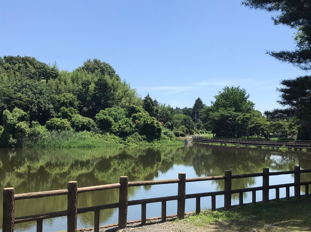 Handa Swamp-太田原市必去景点