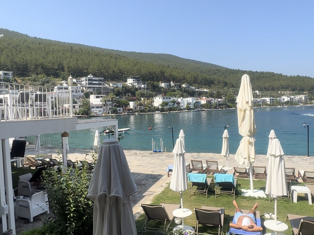 Zena Hotel Bodrum主图