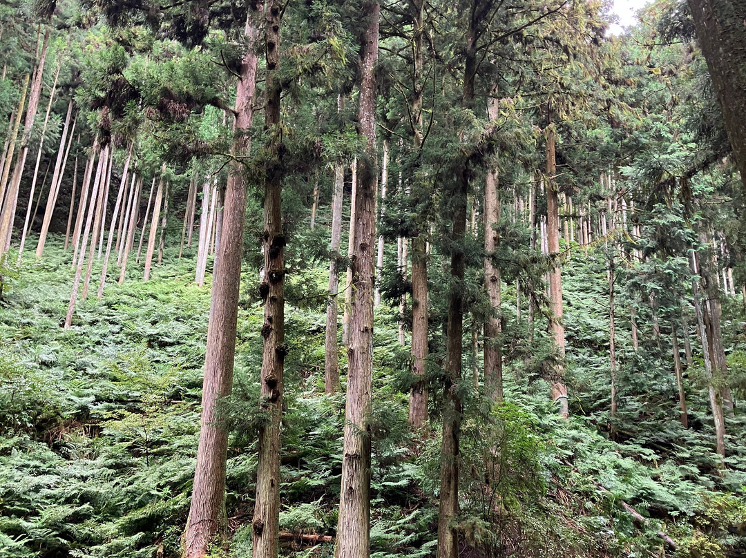 Izurusan Manganji Temple-栃木市必去景点