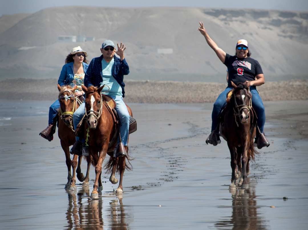 Cabalgata en caballo peruano de paso-Pacasmayo必去景点