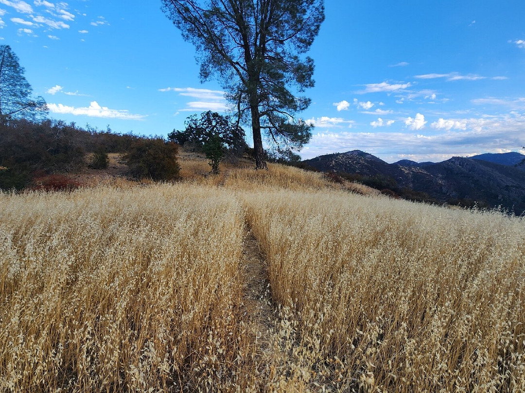 High Peaks Trail景点图片