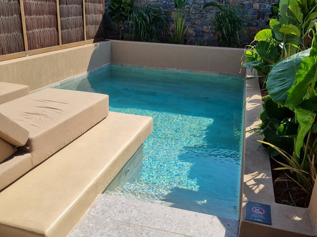 Pnoé Breathing Life主图