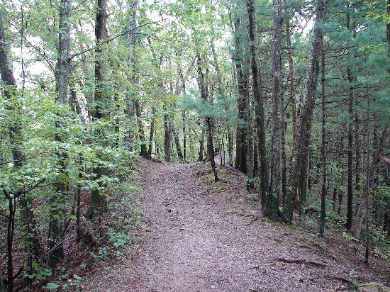 Noanet Woodlands景点图片