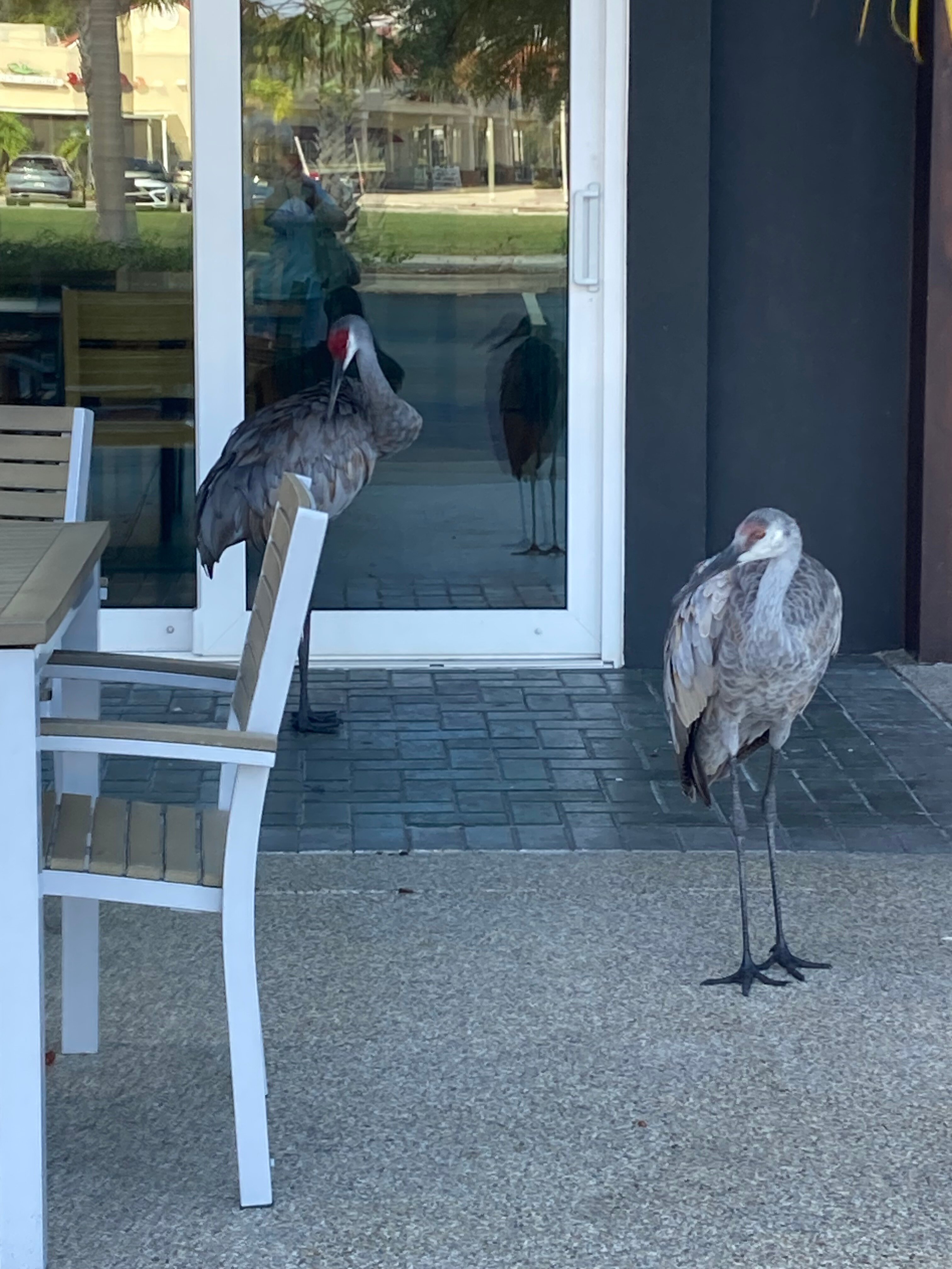 Country Inn & Suites by Radisson, Bradenton-Lakewood Ranch, FL-浴室