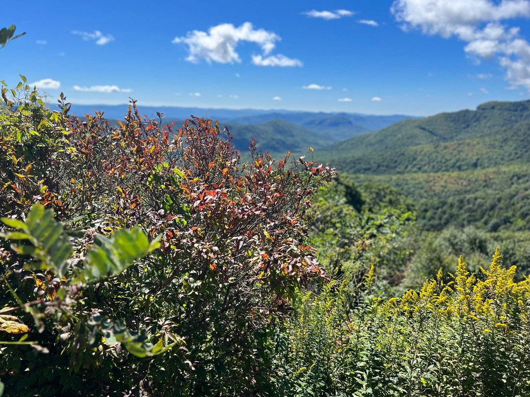Asheville Hiking Tours-阿什维尔必去景点