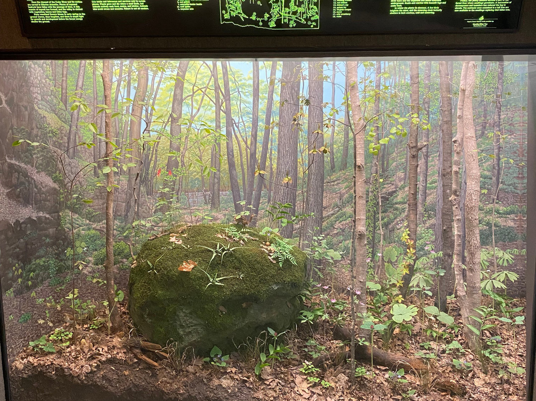 Museum of Natural History-爱荷华城必去景点