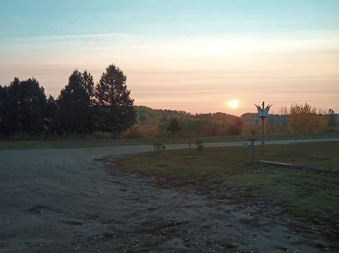 Honeycomb Bed & Breakfast主图