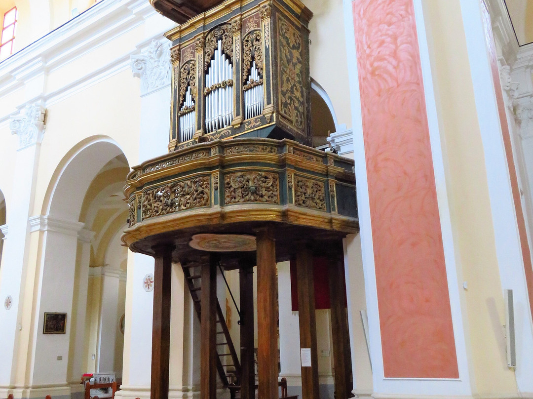 Collegiata di San Martino景点图片