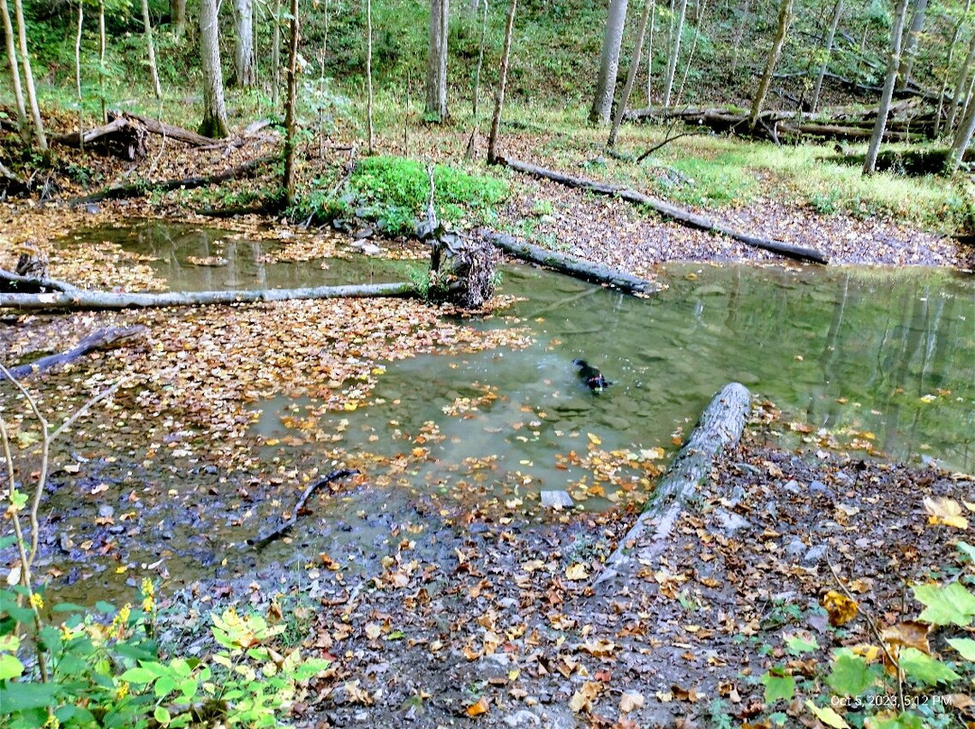 Cedar Creek Park景点图片